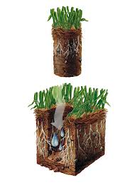 Core aeration