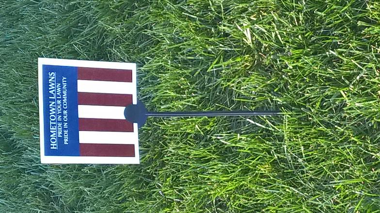 Lawn flag