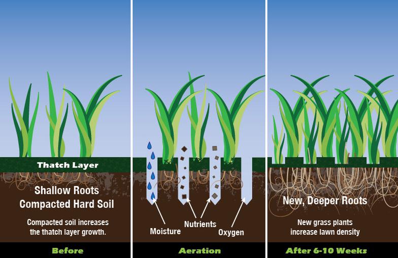 Lawn watering